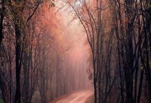 海星体育官网：中国乒乓梦之队：谁将主宰乒坛的下一个时代？.