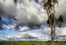 海星体育官网：因伤缺席国家队豪阵：四大中场人均过亿 哈弗茨+图拉姆.