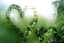 海星体育官网：踢伤王钰栋，郑凯木微博被冲数百条：毒瘤、印尼给你多少钱？.