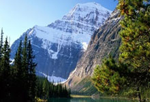 谁是伊万接班人？国足主帅现有3大候选人：安东尼奥居首！.